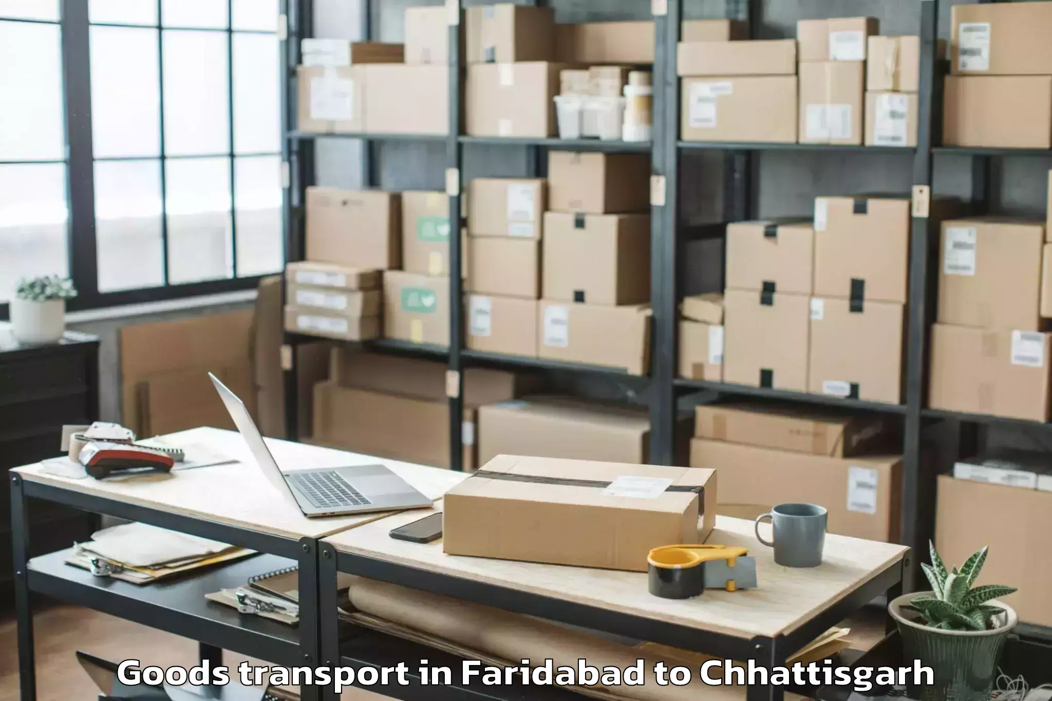 Top Faridabad to Rajim Goods Transport Available